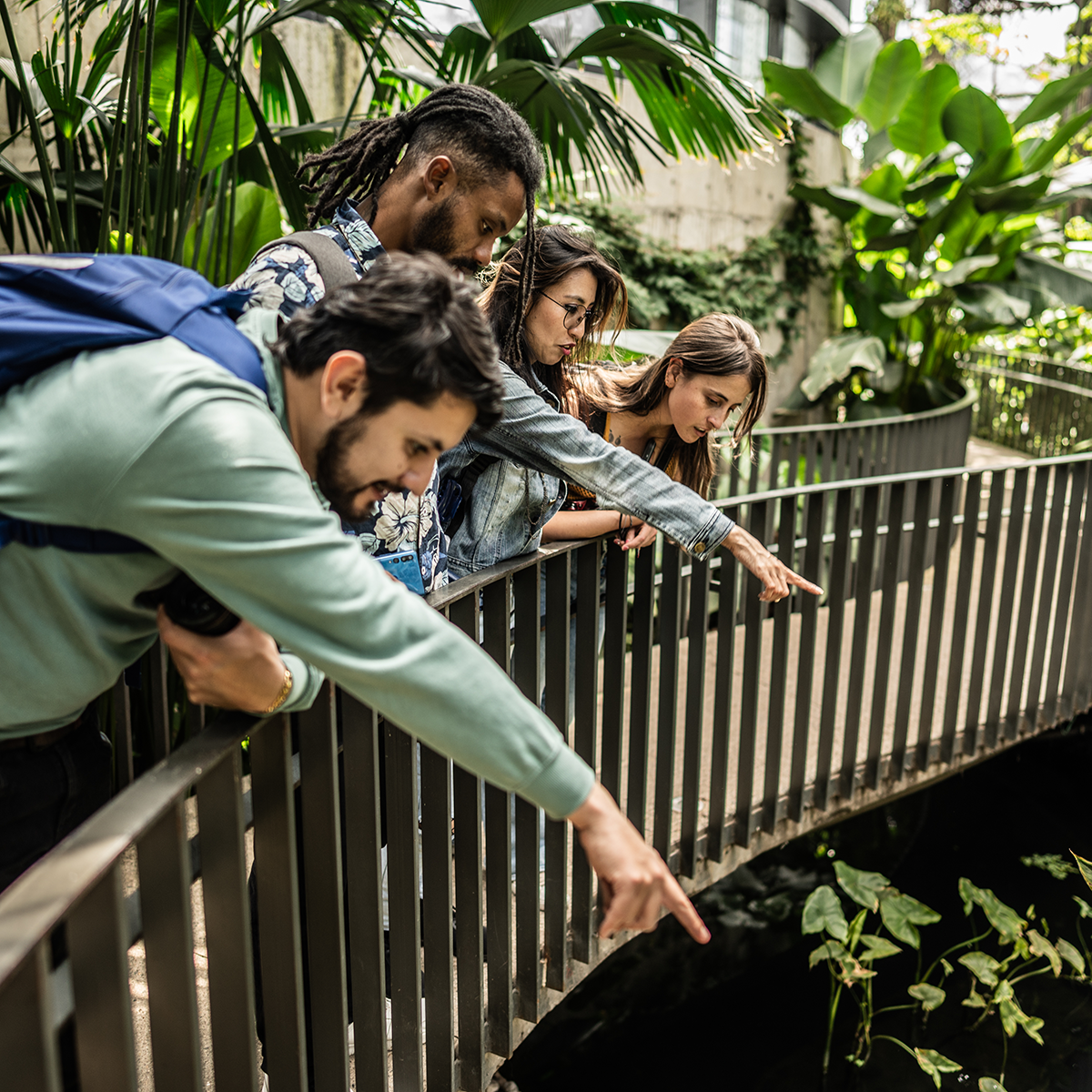 Fort Worth Botanic Garden