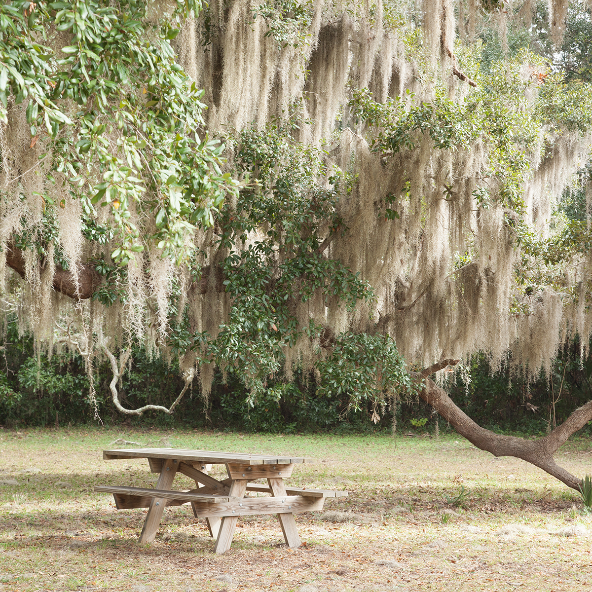 Lake Runnymede Conservation Area