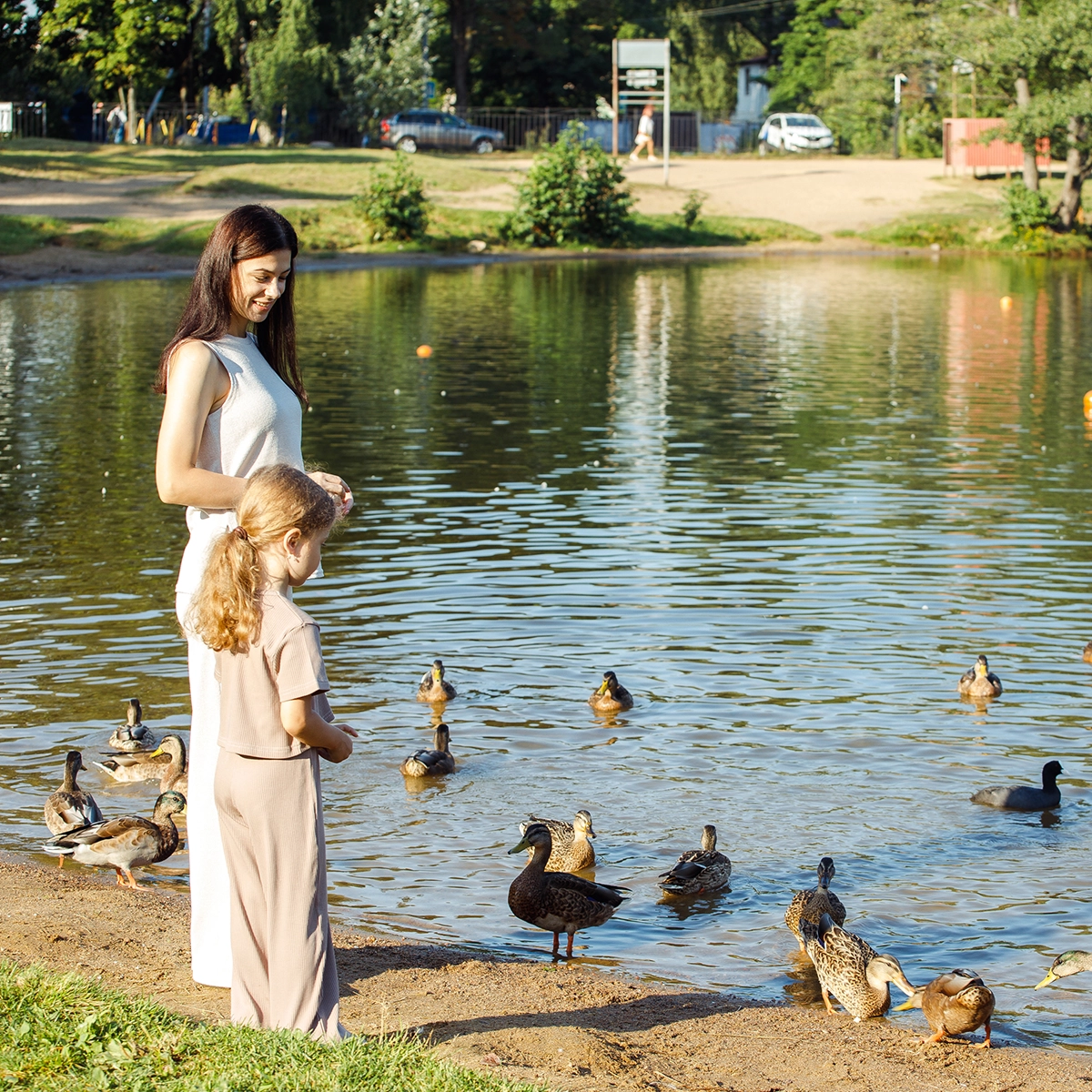 Charlie Elliot Wildlife Center