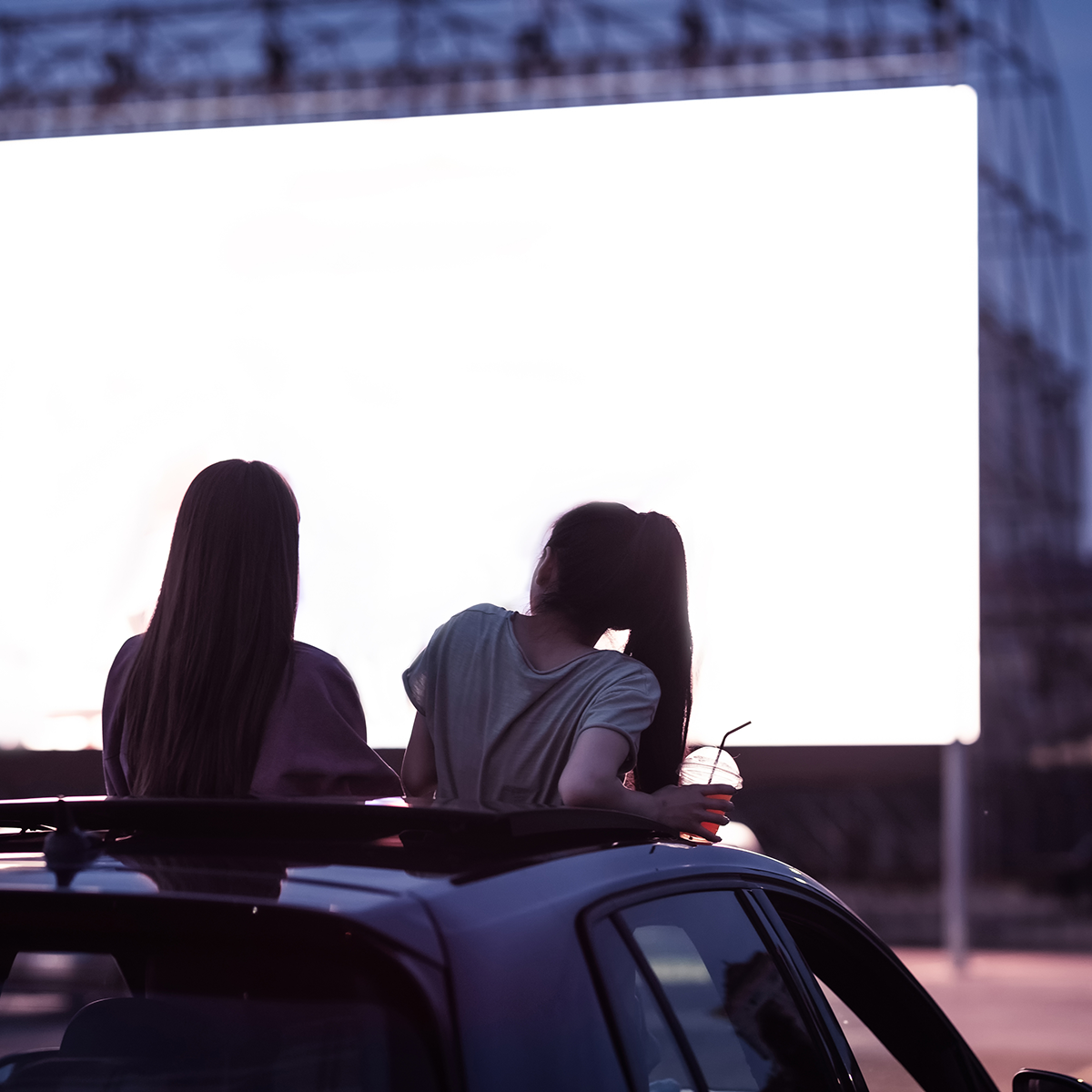 Ruskin Family Drive-In
